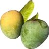 G.Vog (3) Mango | সিজেন ফ্রেশ আম