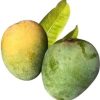 Gopalvog-1 (2) Mango | সিজেন ফ্রেশ আম